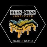 Bees-Ness Honey Farm