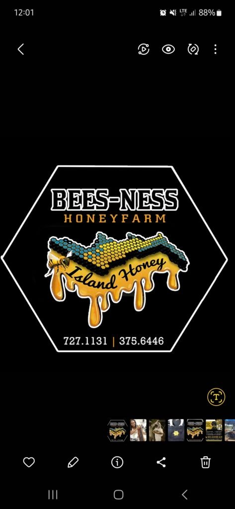 Bees-Ness Honey Farm
